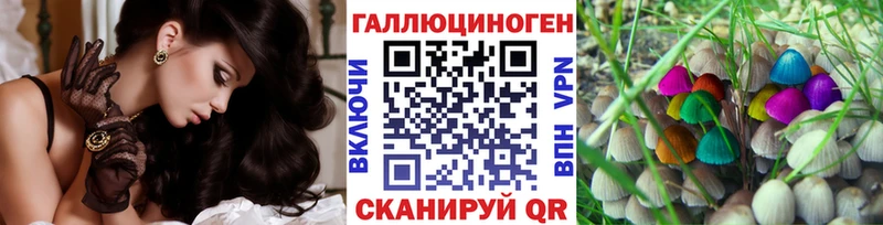 Купить закладки  Серафимович  Псилоцибиновые грибы MAGIC MUSHROOMS 